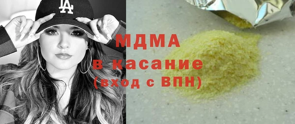 хмурый Аркадак