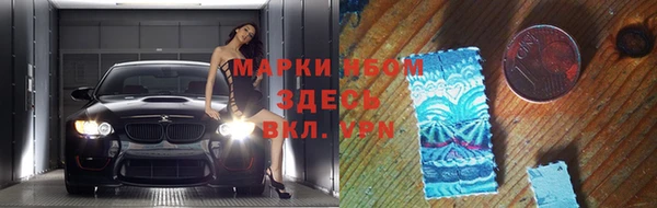 хмурый Аркадак