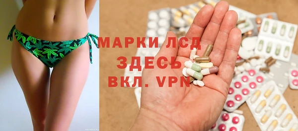 хмурый Аркадак