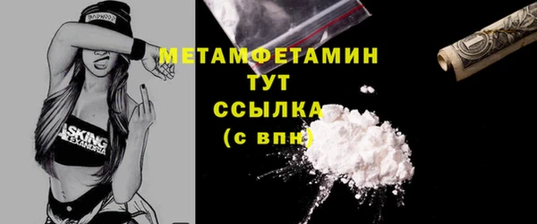 хмурый Аркадак
