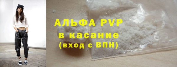 хмурый Аркадак