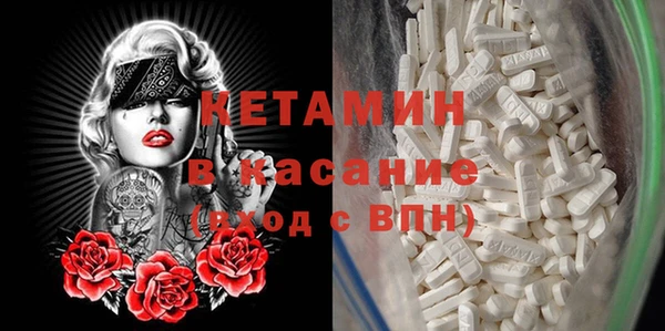 хмурый Аркадак