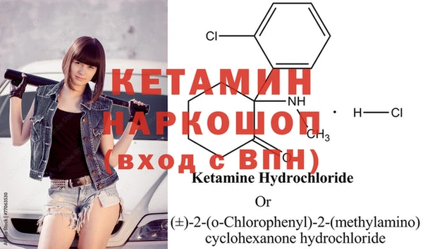 хмурый Аркадак