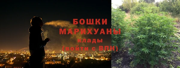 хмурый Аркадак