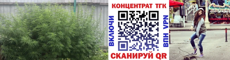 дарк нет как зайти  Кремёнки  ТГК Wax 