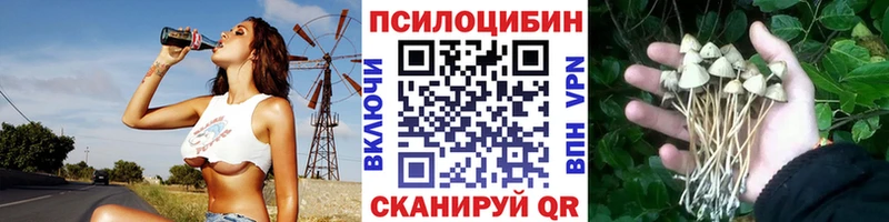 купить наркотик  Кремёнки  Псилоцибиновые грибы ЛСД 